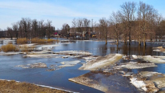    В Московском регионе завершился период половодья Алина Городниченко