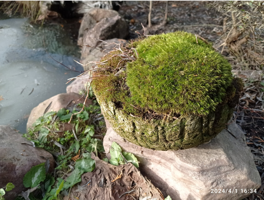 первая поделка