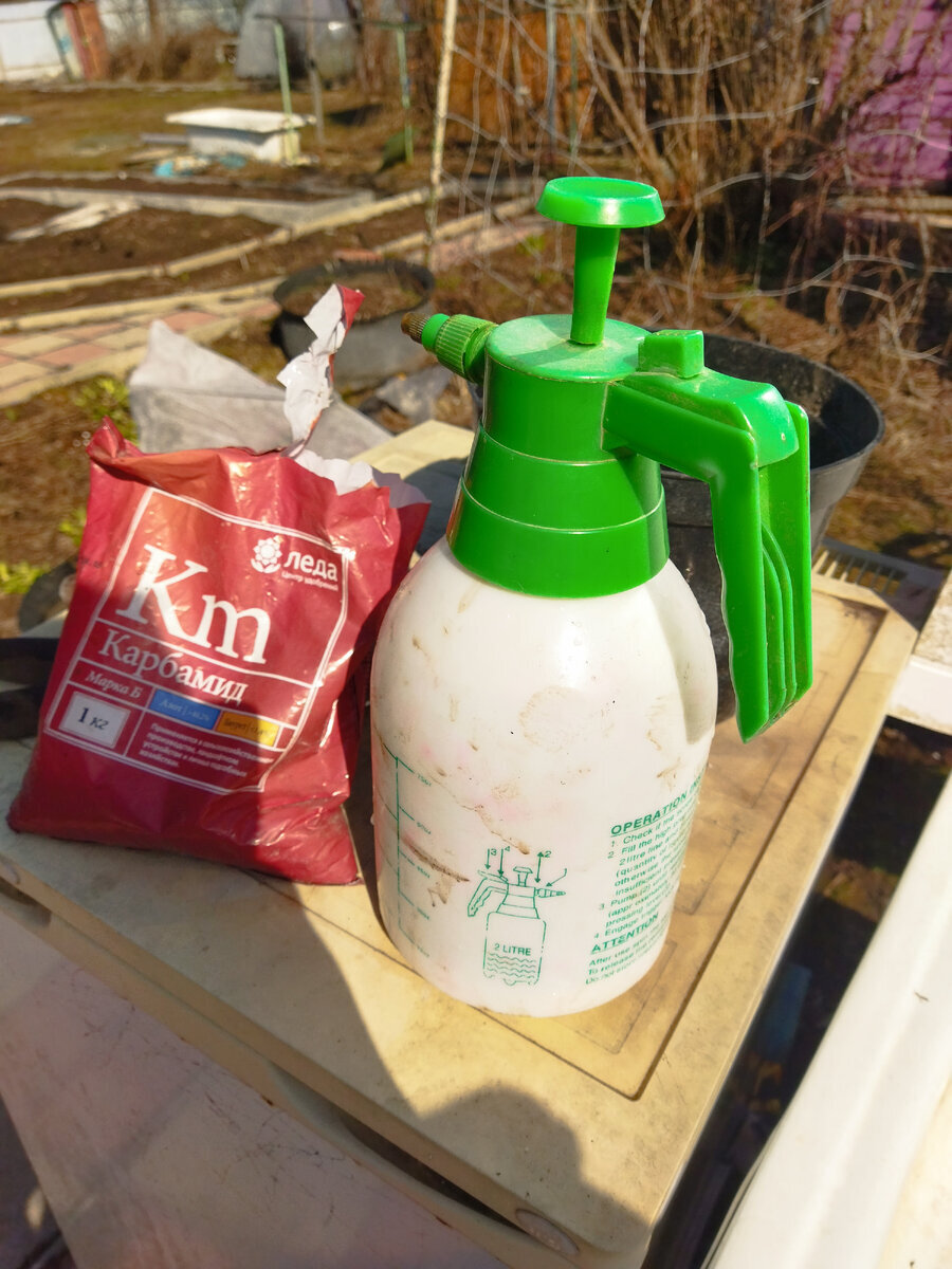 5 апреля 2023 год