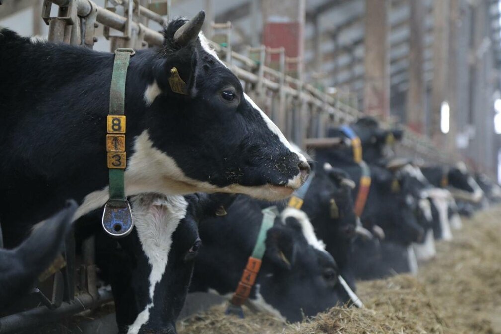 Правительство Вологодской области📷
