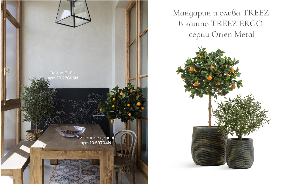 Кашпо и деревья TREEZ Collection 