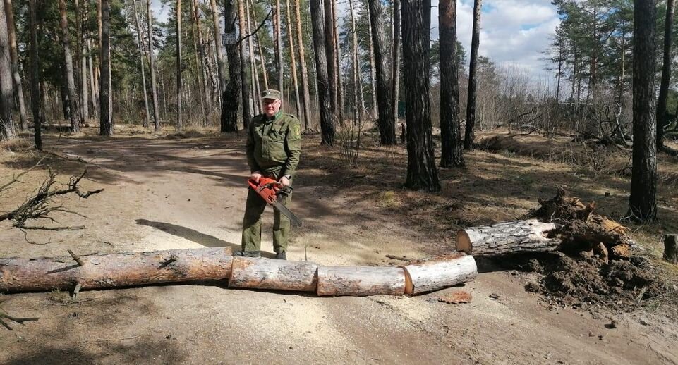    Комитет лесного хозяйства Московской области