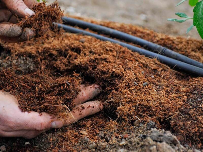 САД / ОГОРОД / ДАЧА