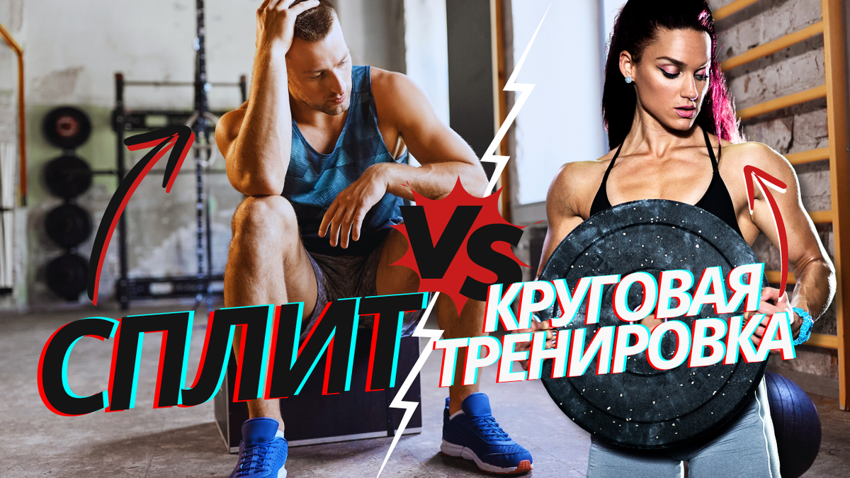 Круговая не фулл-бади, а сплит не воробей, как распознать мою программу |  FIT FOR FUN | Дзен