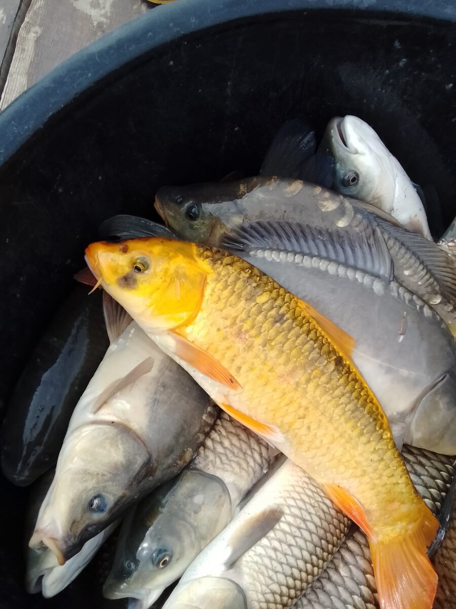 Фото 1.04.2024 года