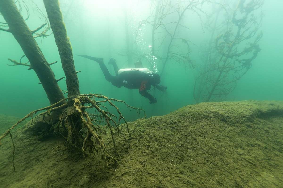    Фото Сергея Порхачева stalker