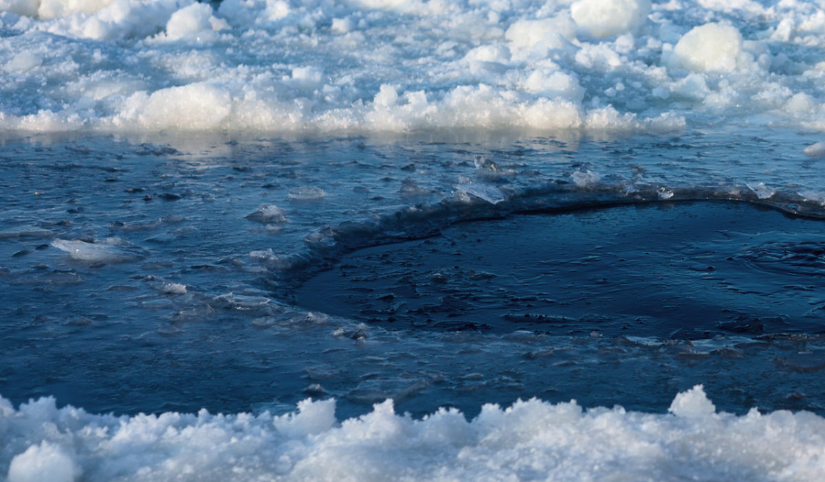    Фото: Клуб моржей Серебряного бора