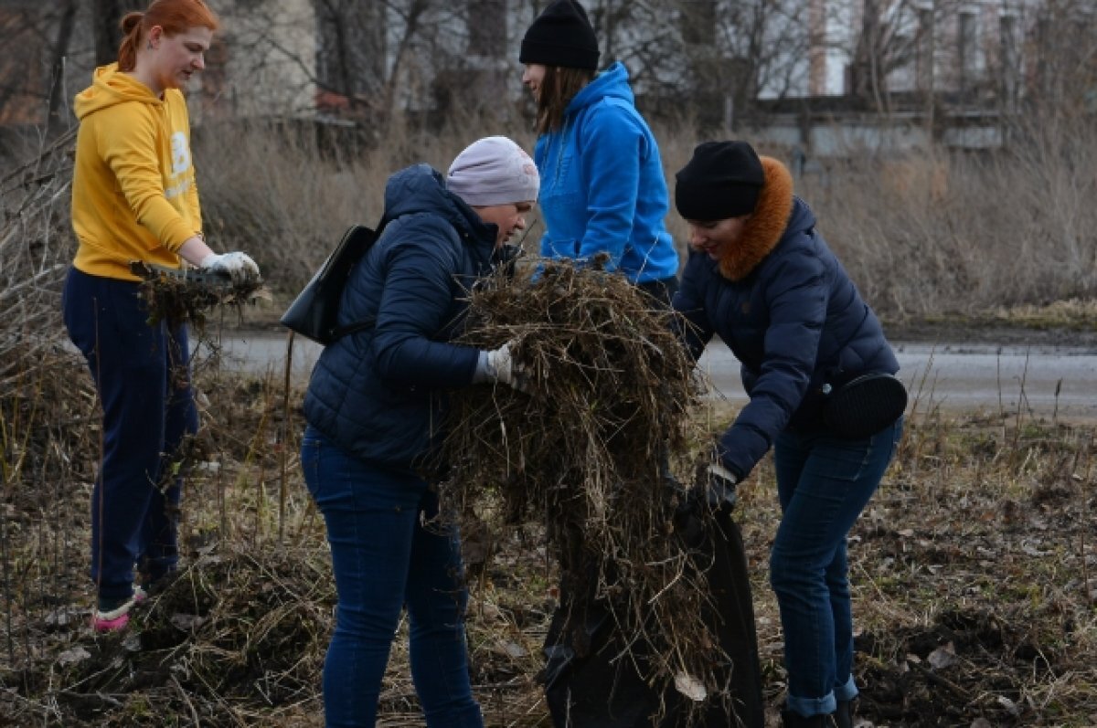    6 апреля в Туле пройдет первый в этом году городской субботник