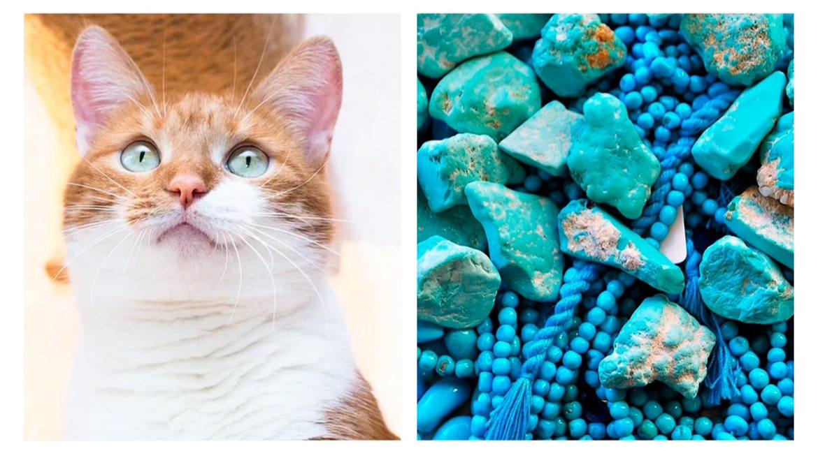 опция "бирюза"