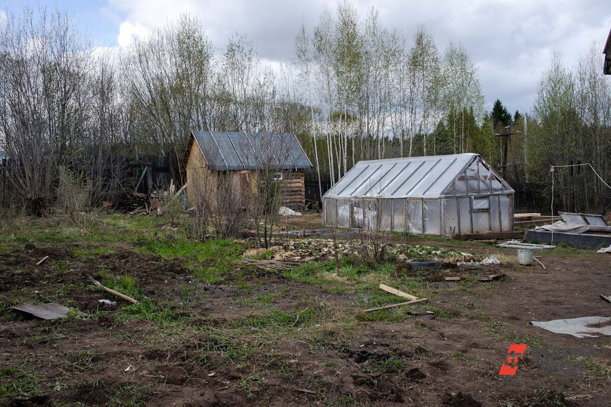 В Ленобласти глава администрации арестована за продажу земли родным в обход  многодетных и участников СВО | Разговоры у парадной | Дзен