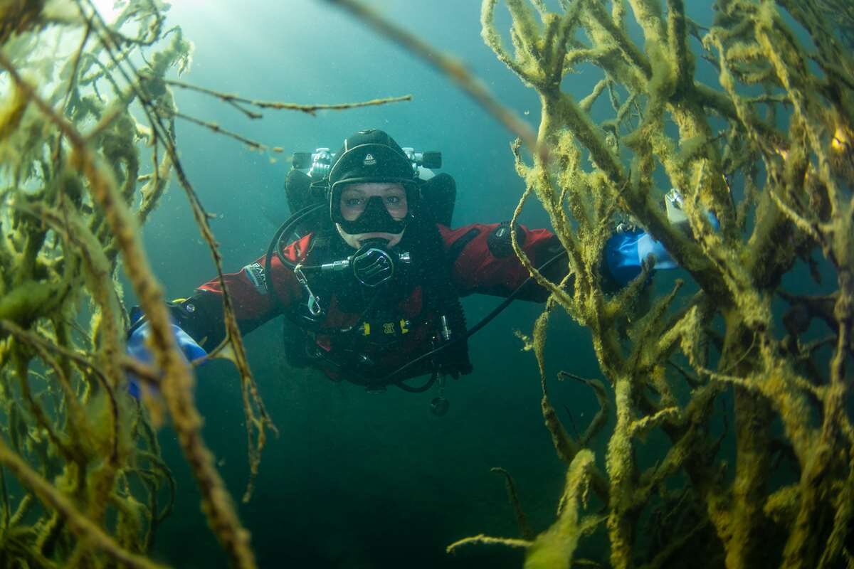    Фото Елены Малафеевой stalker