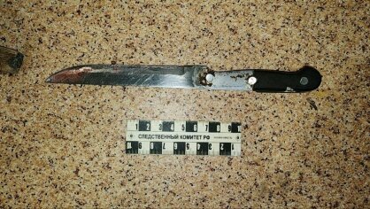    СК Оренбурга завершил расследование по делу об убийстве на проспекте Дзержинского Кристина Просвиркина