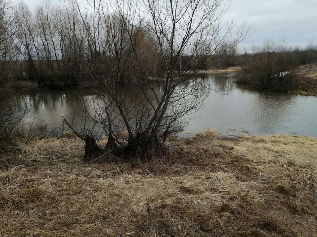 Небольшой водоём весной.
