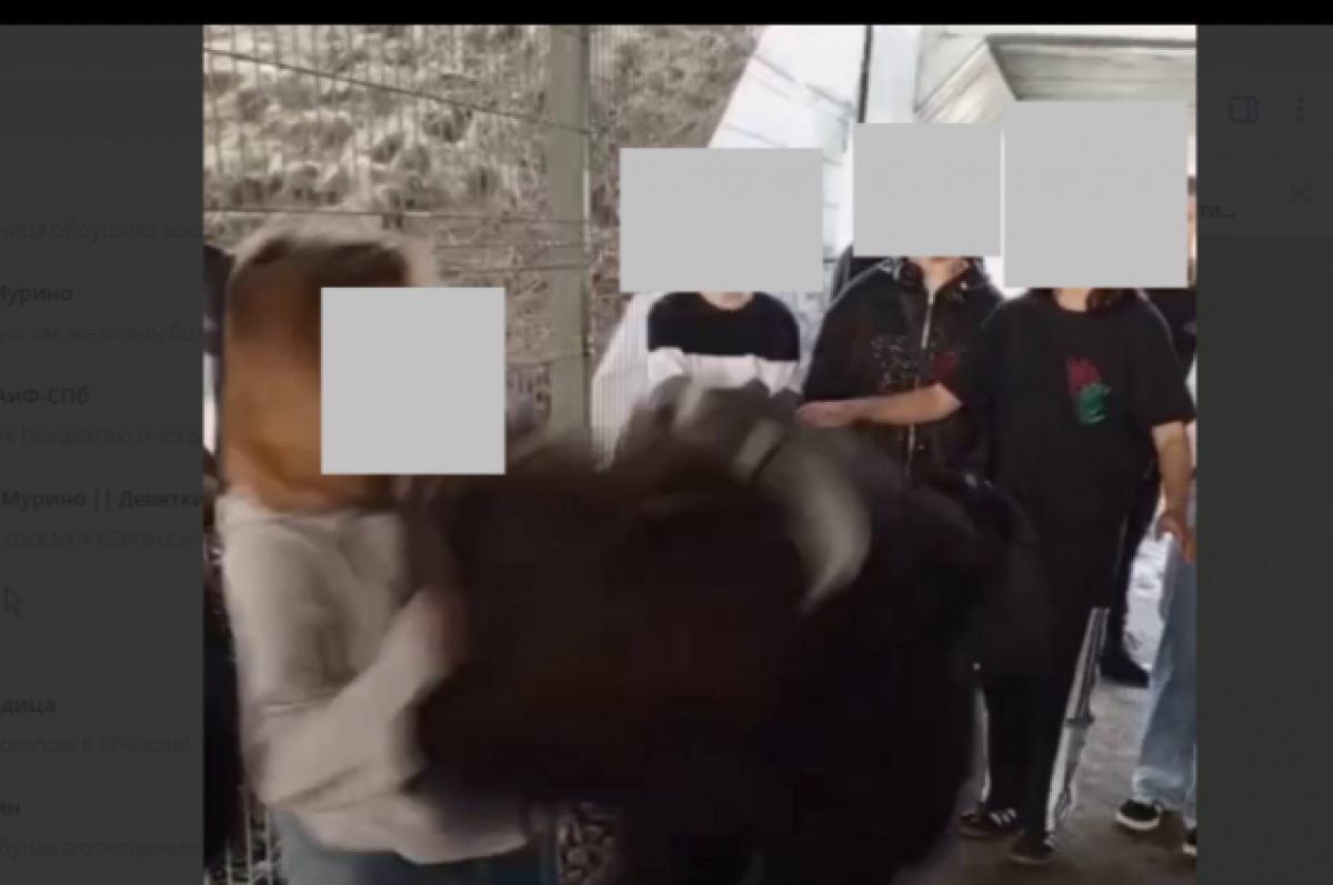    Мизулина заинтересовалась избиением шестиклассницы под мостом в Петербурге