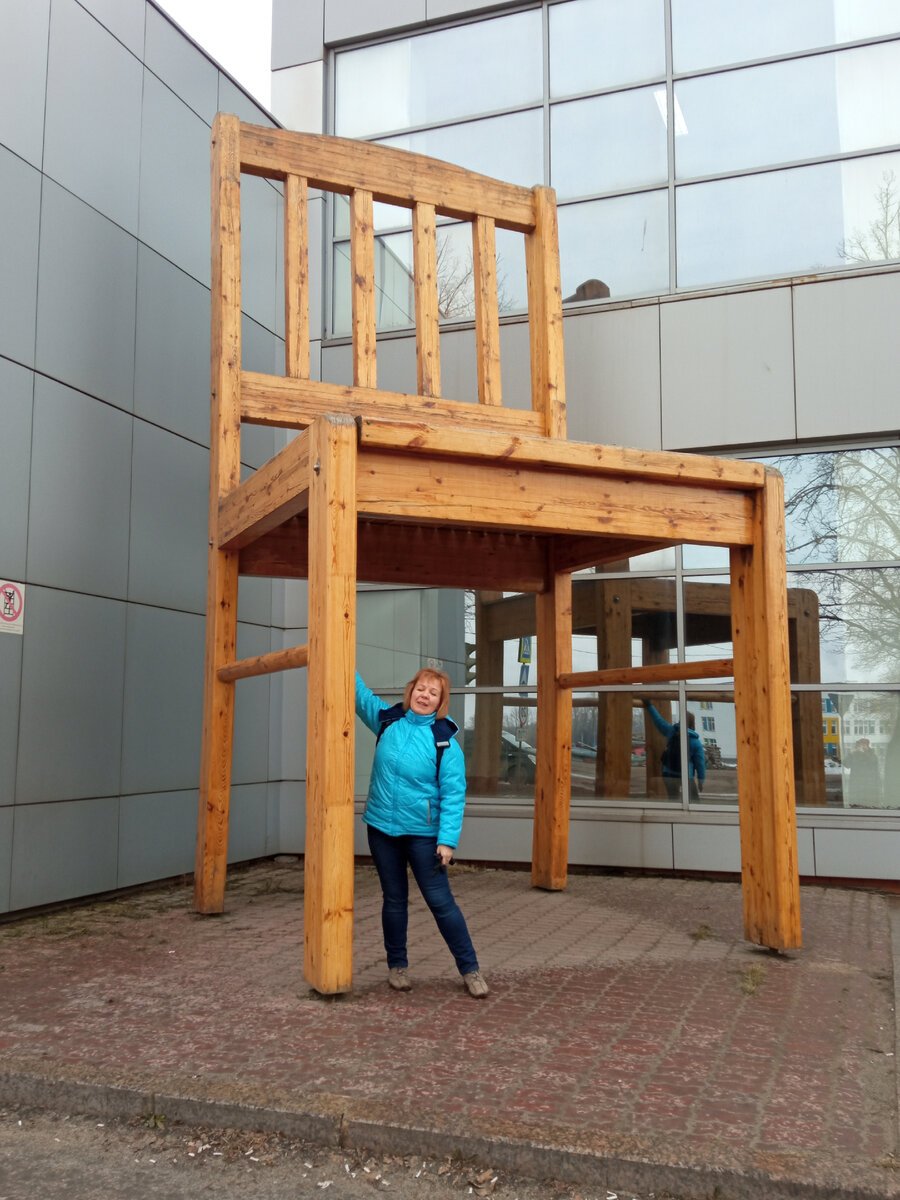 Так вот как видят мир кошки! 