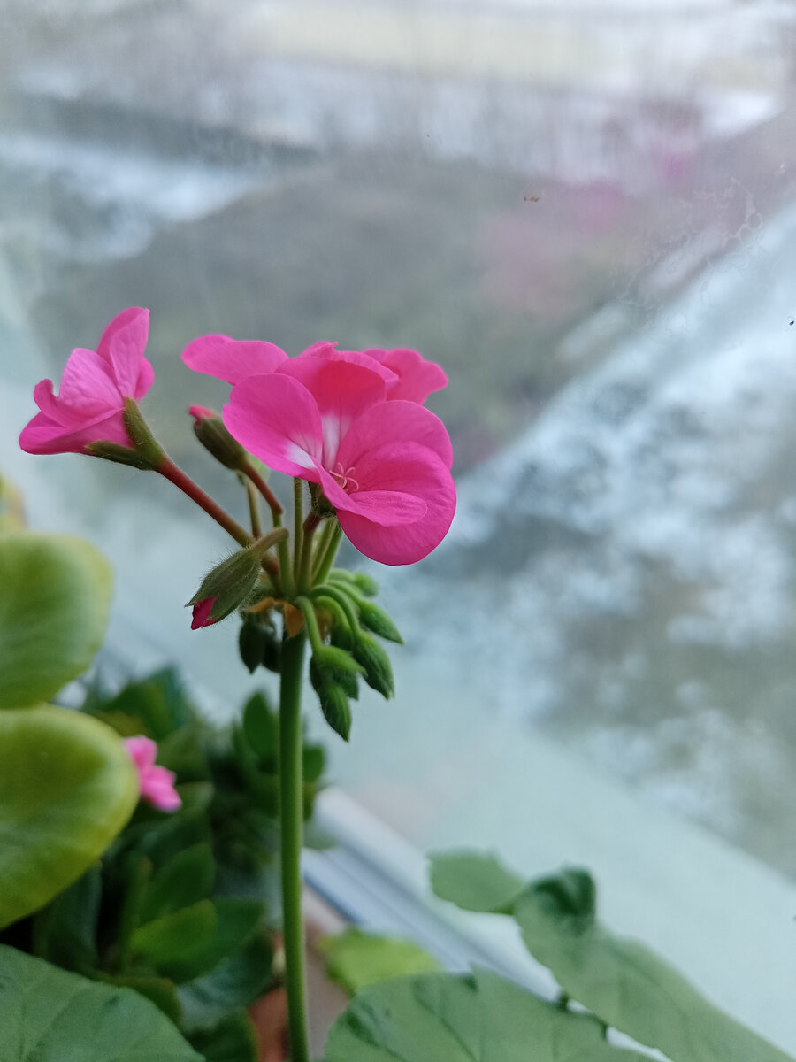 Личное фото 