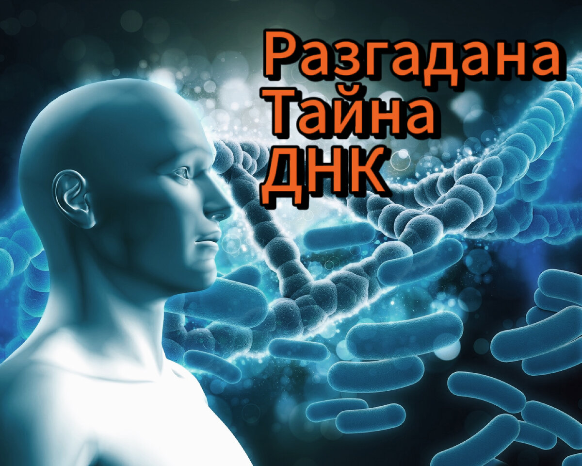 ДНК разгадана: Ключевое открытие, зарождающее эру генетики | Истории из  прошлого: Переплетение времен | Дзен