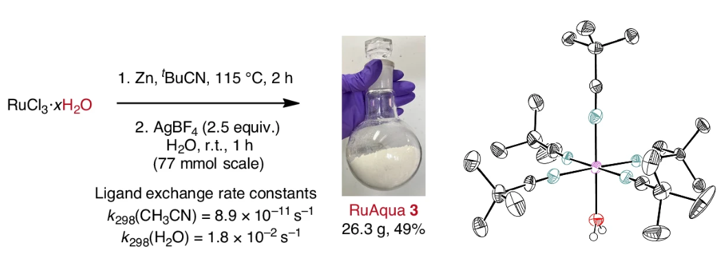   Gillian McArthur et al. / Nature Chemistry, 2024