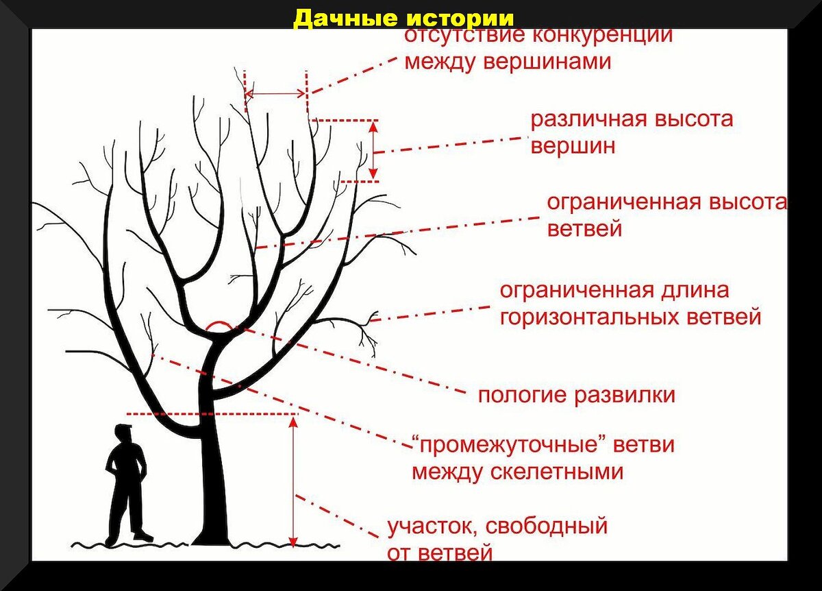 Первые апрельские хлопоты садовода и огородника: список самых важных дел,  которые нужно закончить в первой половине апреля | Дачные истории | Дзен