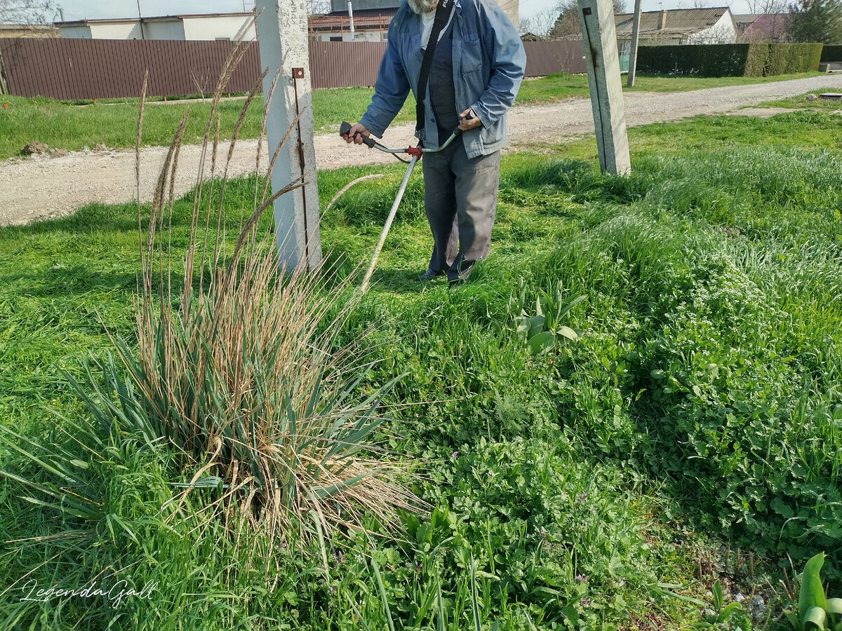 Видно, что триммер на ремне