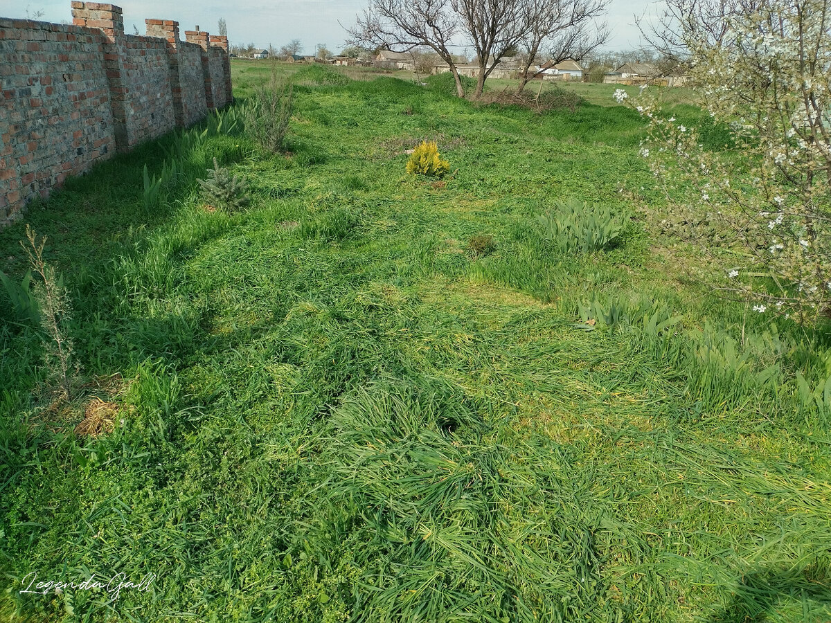 Слева почти все готово