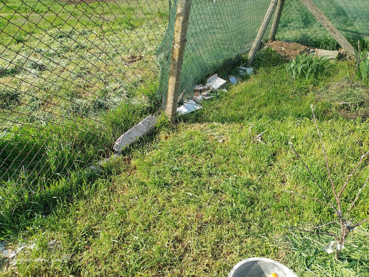 Тут будет грядочка