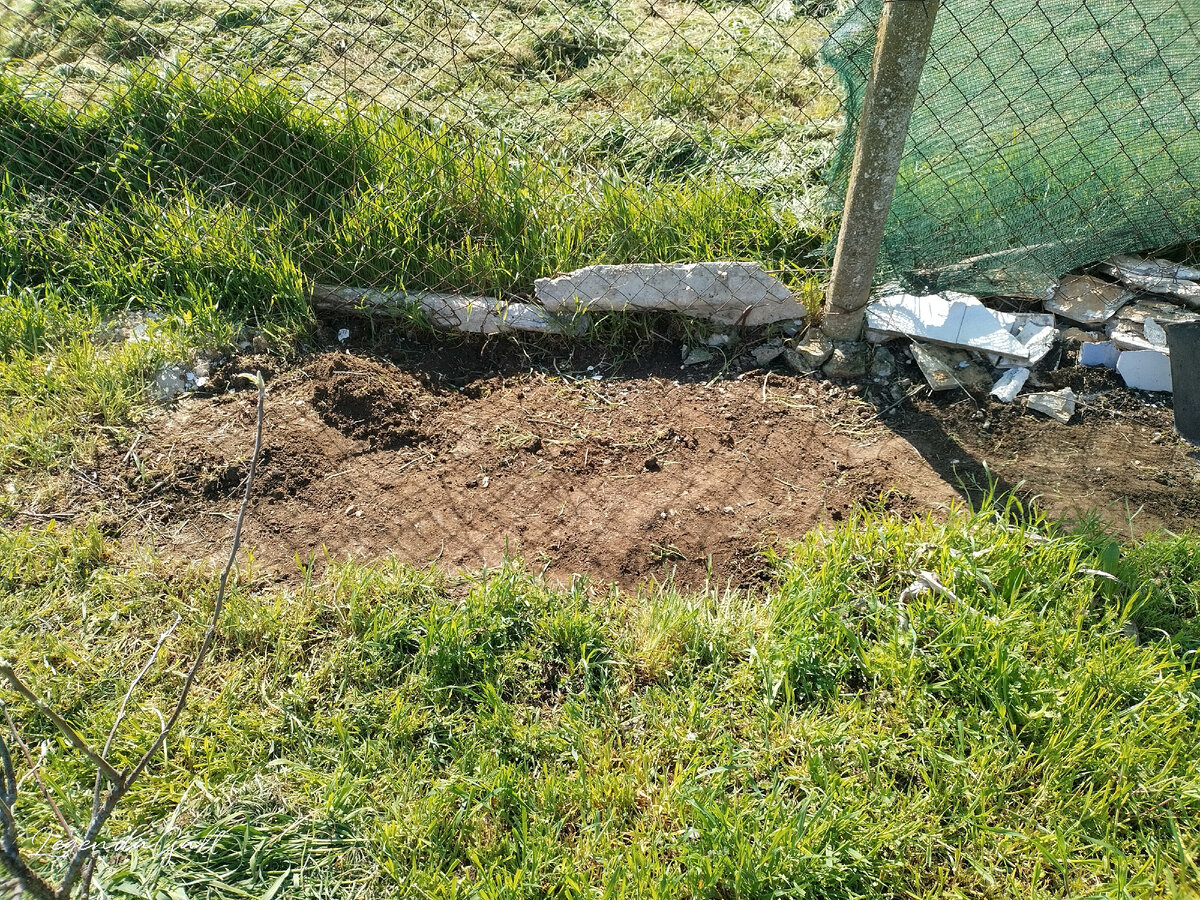 Начала с раздерновки. Слева видно две кучки. Сначала пыталась из снятой травы землю выбивать, но это так муторно, мелкие растения с корнями падают, потом их искать и вытаскивать приходится. Плюнула на это дело