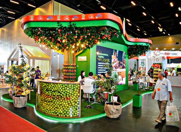    PRO ЯБЛОКО 2024: международная выставка, посвященная яблокам