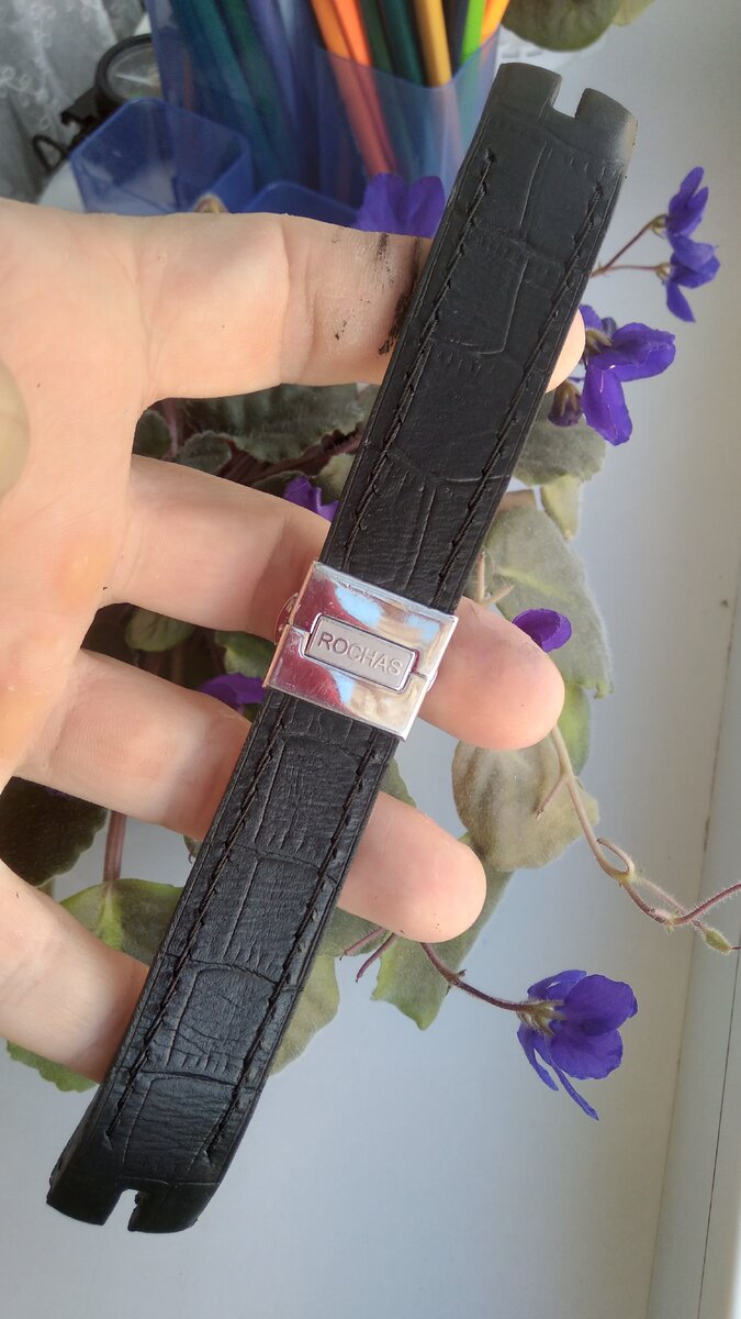 Фотографии автора 