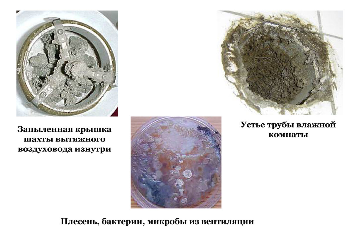 Обратная сторона повального наружного утепления стен зданий, как  существенный повод, задуматься о целесообразности такого утепления. |  Мастер на все руки | Дзен