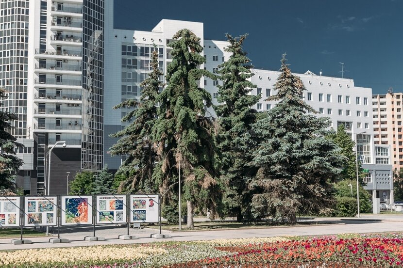 Из открытого доступа