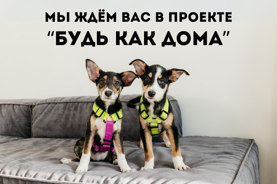 Фото- собственность канала