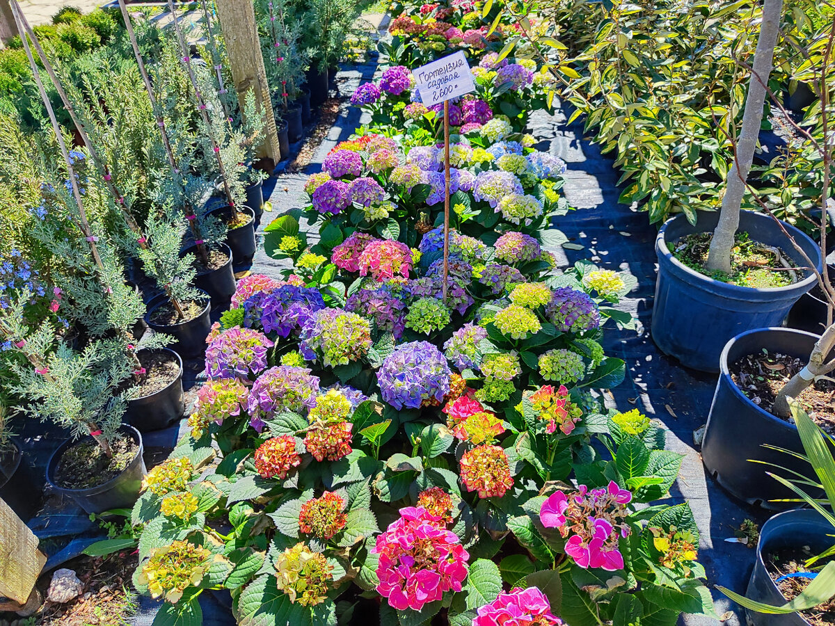 какая красота!!!