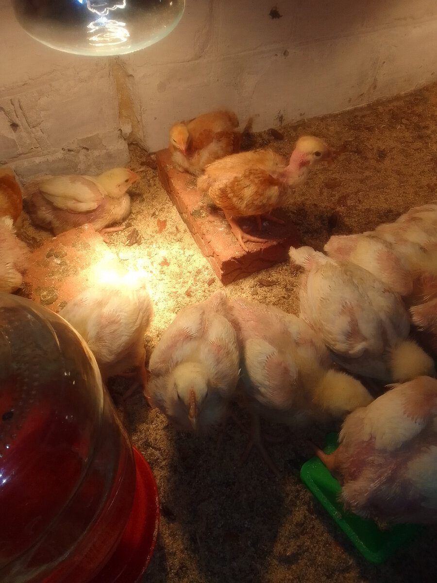 Им комфортно.