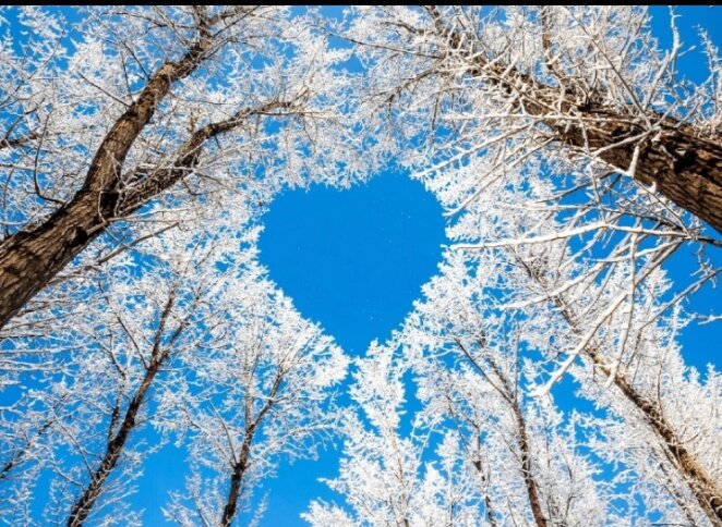 Божие царство спокойного умиротворения внутри нас Естъ и предоставив ему владычество, полное доверие Искренней любви искореняющей чуждое/злобное/лихое/коварное/мстительное учение сына погибели.... 

ХРИСТОС помоги, тронъ сердце, тебе трон отдаю, твоё Господство признаю ❤🙏
Тобой напитал естество. Тебе моё свойство принадлеЖИТЪ! АРХЕВАЖНО ДЛЯ МЕНЯ ПОВЕДАННОЕ ТОБОЮ ОБ ОТЦЕ ВСЕДЕРЖИТЕЛЕ ДЛЯ КАЖДОГО ЖИТЕЛЯ❤
ТВОИ СЛОВА В МЕНЯ ВХОДЯТ И ИЗ МЕНЯ ВЫХОДЯТ. ТВОИ СЛОВА МЕНЯ ИЗМЕНЯЮТ, ВМЕНЯЮТ МНЕ БОЖЕСКОЕ❤️🙏
ТВОИ СЛОВА ПРЕДСТАВЛЯЮТ ДЛЯ МЕНЯ ВАЖНОСТЬ ИСТИННО ЗНАЧИМУЮ, МНОЙ ПОЗНАВАЕМУЮ. ИССЛЕДУЕМУЮ МНОЙ БОЖЕСТВЕННУЮ ИСКРУ, ОГОНЪ КОТОРОЙ СЖЁГ ВО МНЕ ВЕТХОЕ, ОБНОВИВ ОСВЕЩАЯ ПРОСВЕЩЕНИЕМ ВНУТРЕННЕЕ ОКО, ОЧИСТИВ ОСОЗНАНИЕ ОТ ТЕМНЫХ ПОМЫСЛОВ В СИЛУ КОТОРЫХ БЫЛ я СЛАБ ОТ ОМРАЧЕНИЯ И ОТДАЛЕНИЯ ОТ ВСЕБЛАГОГО🙏❤
ПРОСТИ ОТЕЦ, УПРОСТИ МОЮ ЖИЗНЪ, ДАЙ РОСТ ДУХОВНЫЙ, МУДРОСТЪЮ НАДЕЛИ ЖИЗНИ РАДИ❤️🙏
ВОЗЖЕЛАЛЪ ПРИЛОЖИТЪ УСИЛИЕ ДАБЫ ВОСХИТИТЪ ТВОЁ РАСПОЛОЖЕНИЕ И ПОДАРИТЪ БЛИЖНИМ ТВОИМ (РОДУ ЧЕLOVEЧЕСКОМУ) ТЕПЛО. В ЭТОМ МОЙ ПОДВИГЪ ЖИЗНЕННЫЙ, СПОДВИГНУТ К СЕМУ НЫНЕ И ВО ВЕКИ ВЕКОВЪ❤🙏