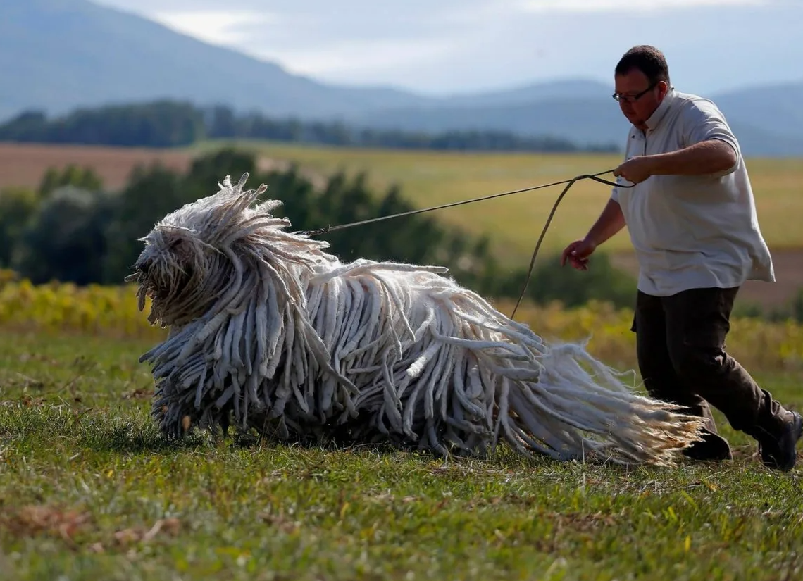 Фото из открытых источников