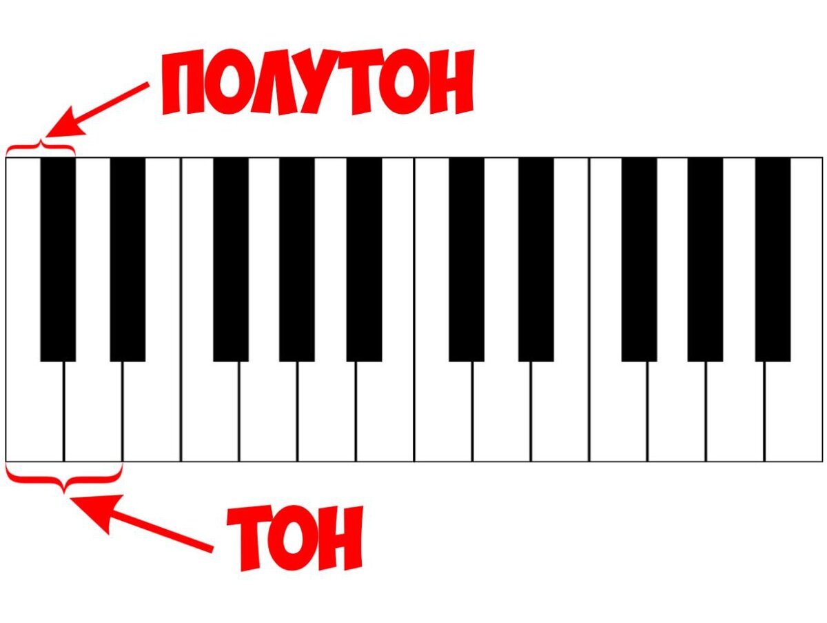 Урок 2. Ноты, октавы, тон и полутон | Hodor_1004 | Дзен