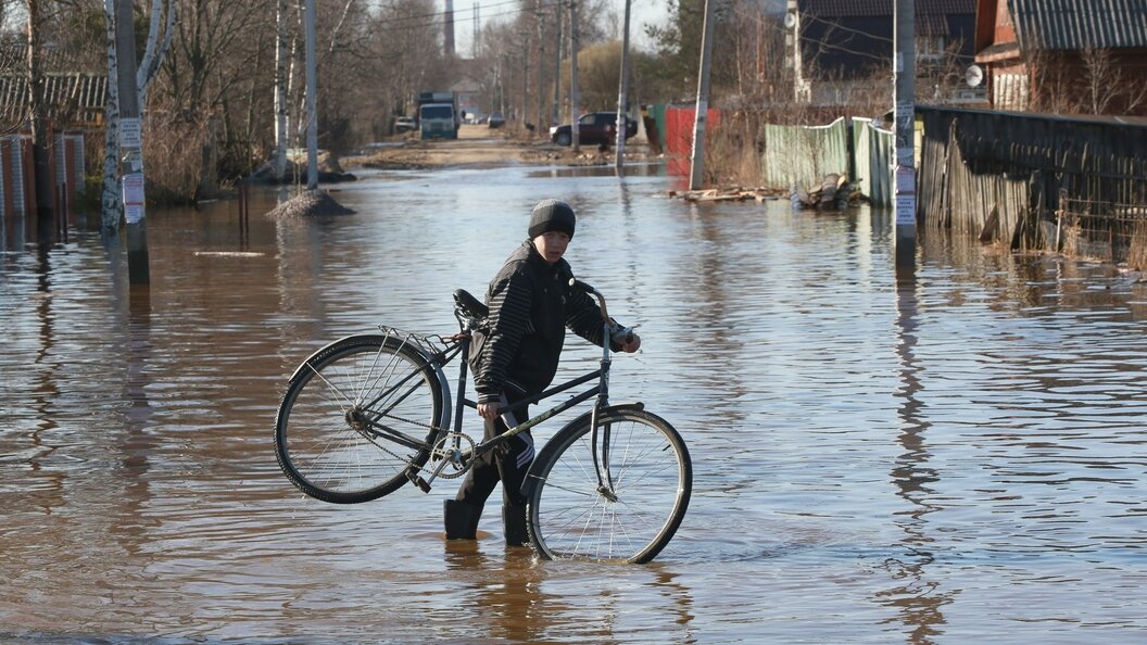    Фото: Zamir Usmanov/Russian Look/Globallookpress