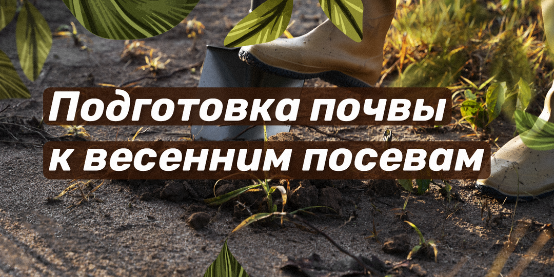 Подготовка почвы к весенним посевам: важные шаги и рекомендации
