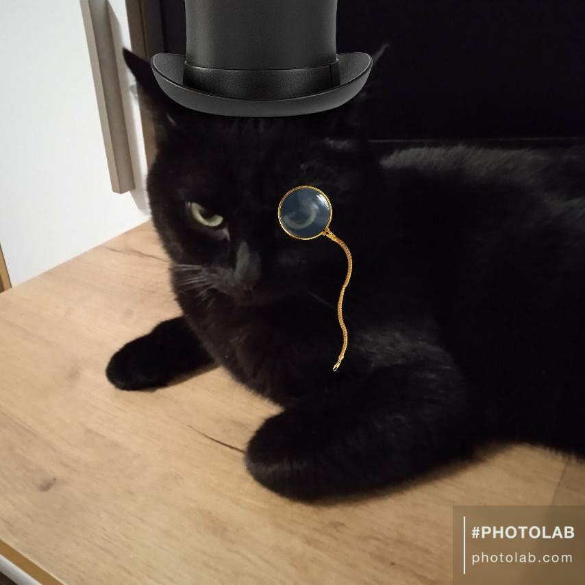 Фото автора. Обработано PHOTOLAB. 