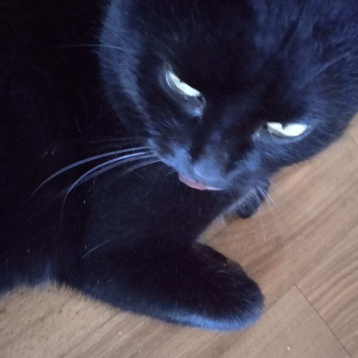 Фото автора. 