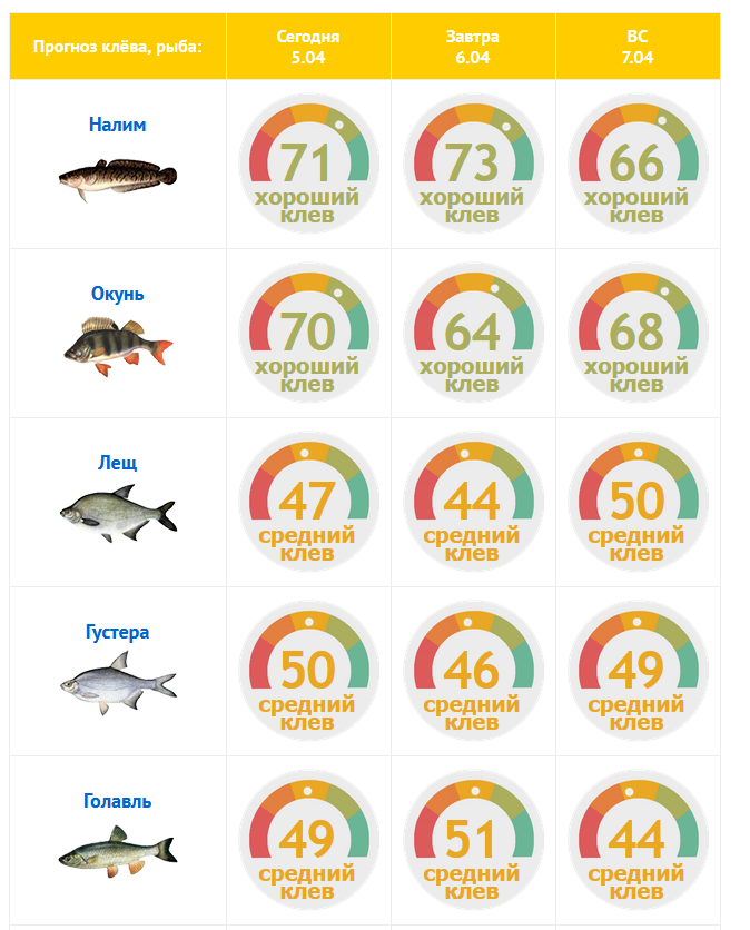 Как завтра будет ловиться рыба. Прогноз клева. Клев рыбы. Прогноз клёва рыбы на завтра. Хорошего клева.