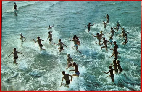 Пионерский летний лагерь. Фото auction.ru