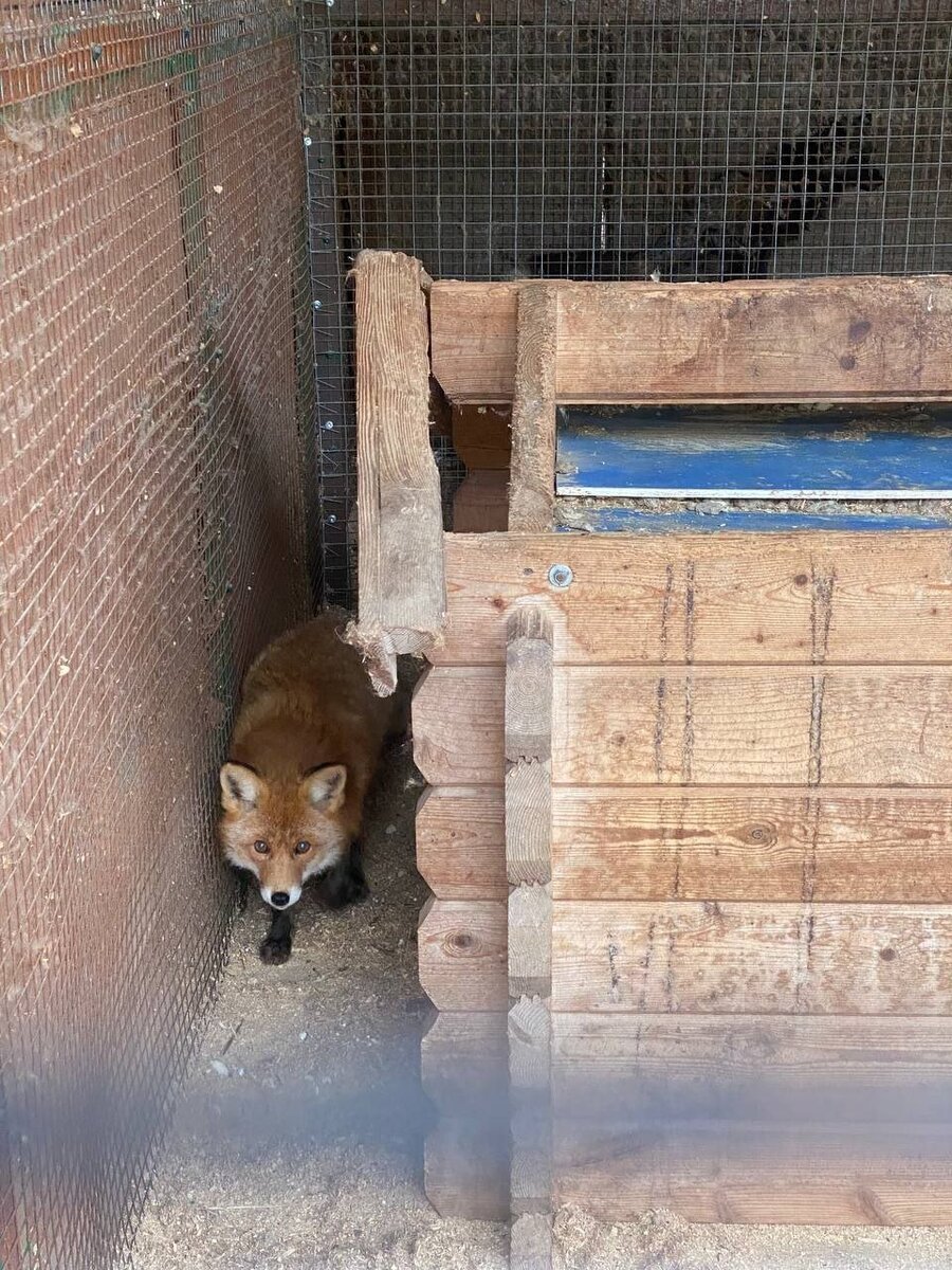 Фото: пресс-служба прокуратуры Ленобласти