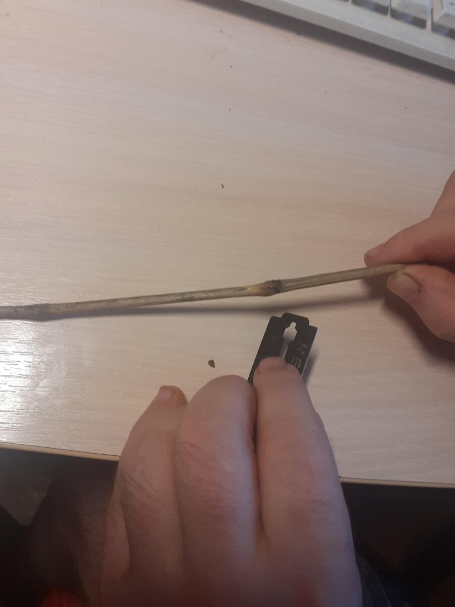 у Кардинала устойчивого почки погибли