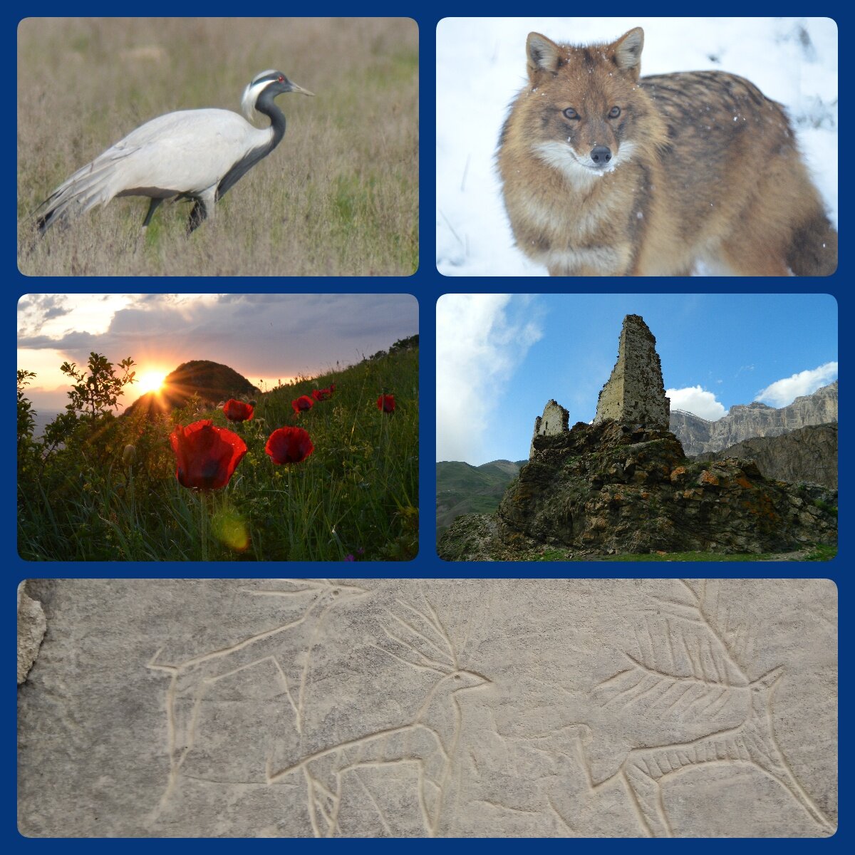 Область интересов клуба