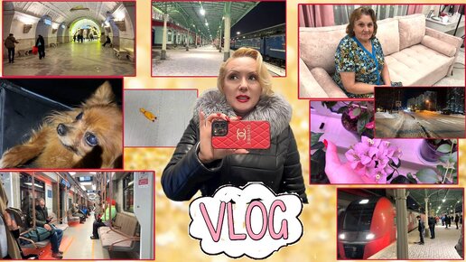 VLOG С МАМОЙ//ВСТРЕЧАЮ МАМУ🚇, НОЧНОЕ ПРИКЛЮЧЕНИЕ //ПОДАРКИ ДЛЯ МАМЫ И ЦВЕТИКА🐕