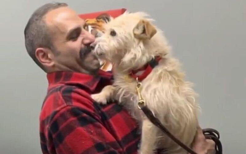 Пес Мишка с хозяином. Фото: Социальные сети. Фотография взята из открытых источников.  📷
