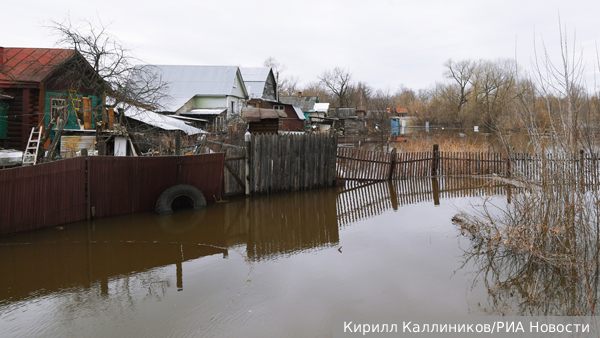     Фото: Кирилл Каллиников/РИА Новости   
 Текст: Антон Антонов