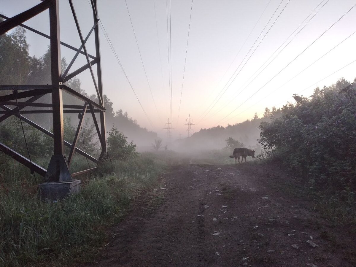 Шувакиш (фото: Юшков Антон)